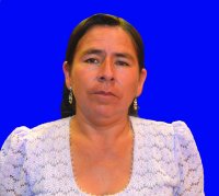parlamentario_img