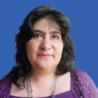 parlamentario_img