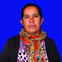 parlamentario_img
