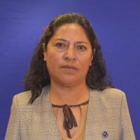 parlamentario_img
