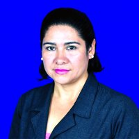 parlamentario_img
